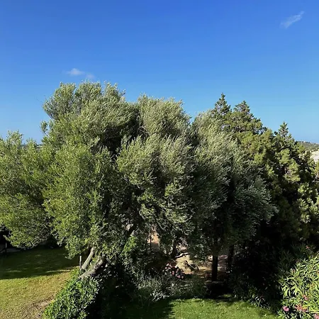 Apartman Corte Dei Mori 239 *