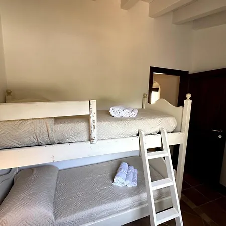 Corte Dei Mori 239 Liscia di Vacca