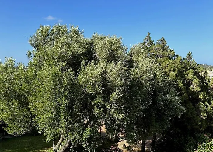 Appartement Corte Dei Mori 239 *